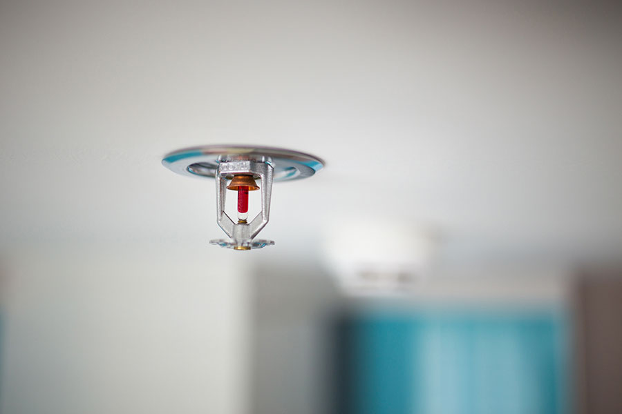 Automatic sprinkler and smoke detector